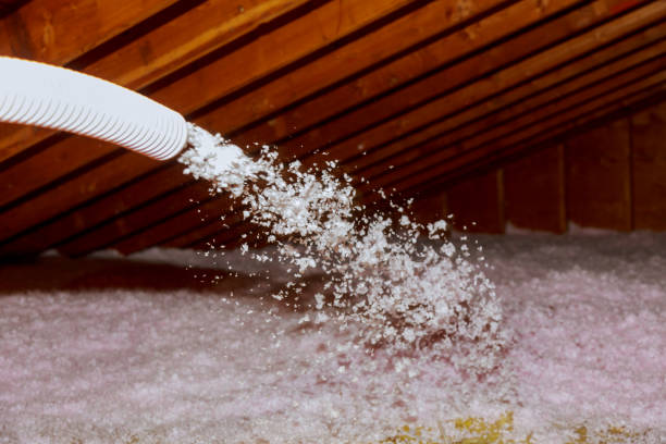 Best Energy-efficient Insulation  in Riverton, WY